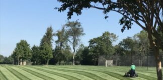 Tips for Hiring a Cunningham Lawn Care Service Hiring a Cunningham Lawn Care Service