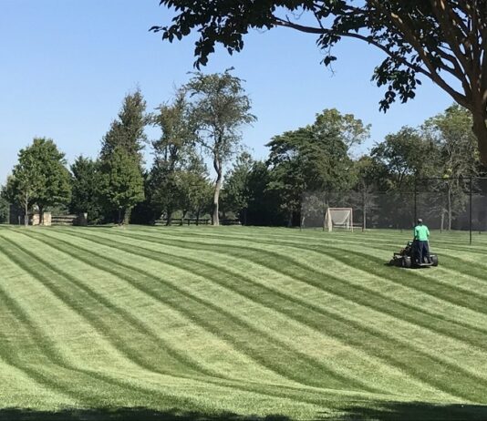 Tips for Hiring a Cunningham Lawn Care Service Hiring a Cunningham Lawn Care Service