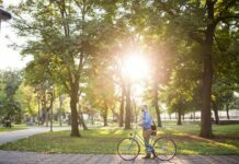 Providing greener space to your property Providing greener space to your property