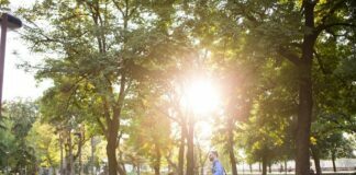 Providing greener space to your property Providing greener space to your property