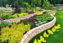 Enhance Your Garden with the Help of a Professional Landscaping Team Enhance Your Garden with the Help of a Professional Landscaping Team