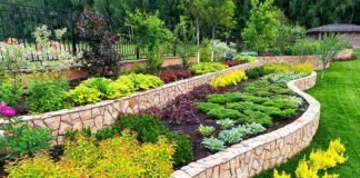 Enhance Your Garden with the Help of a Professional Landscaping Team Enhance Your Garden with the Help of a Professional Landscaping Team