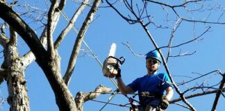Tree Care Professionals You Can Count on Tree Care Professionals You Can Count on