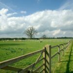 Agricultural Fencing: Critical Protection for Agricultural Land Agricultural Fencing