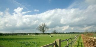 Agricultural Fencing: Critical Protection for Agricultural Land Agricultural Fencing