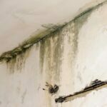 Water Damage Restoration Tips Water Damage Restoration