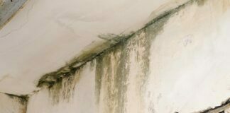 Water Damage Restoration Tips Water Damage Restoration