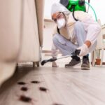 Innovation In Pest Detection And Monitoring Technologies Pest Control services