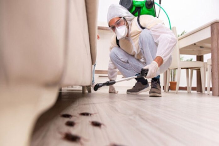 Pest Control services