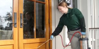 What To Check In A Pest Control Company? Pest Control