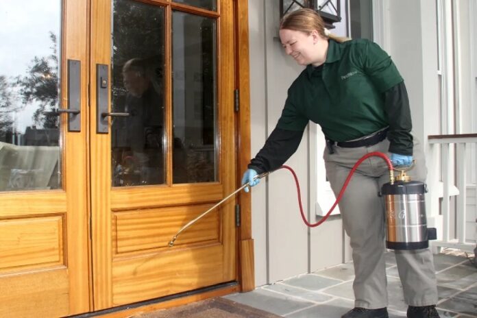 Pest Control Pest Control