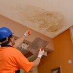 Understanding The Role Of Water Damage Contractors In Insurance Claims Water Damage Contractors