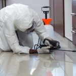 Role of Restaurant Dumpsters in Fueling Rat Problems in Phoenix Pest Control