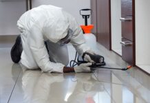 Role of Restaurant Dumpsters in Fueling Rat Problems in Phoenix Pest Control