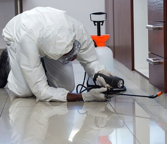 Role of Restaurant Dumpsters in Fueling Rat Problems in Phoenix Pest Control
