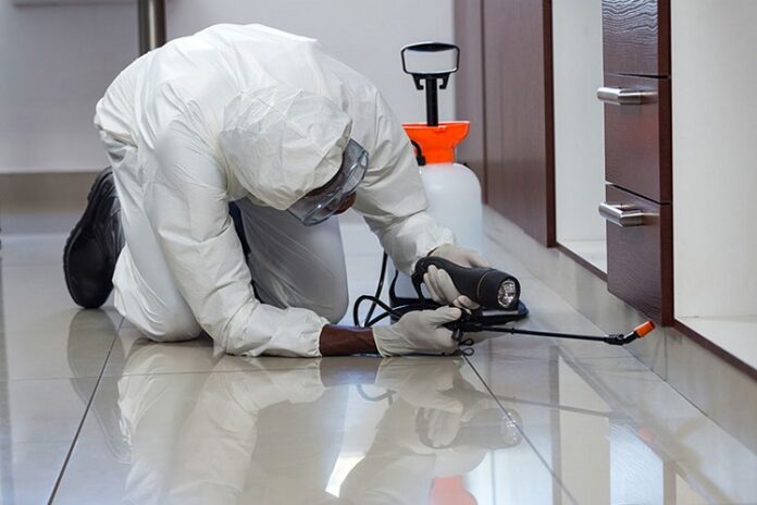 Pest Control Pest Control